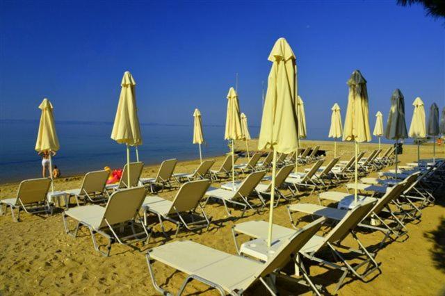 Villa Sithonia Metamorfosi  Exterior foto